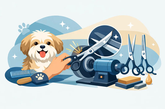 Dog Grooming Scissor Sharpening Done Right