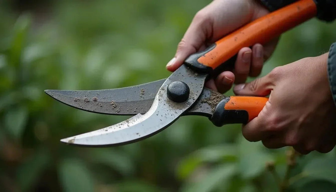 Sharp garden shears with orange handles, ready for pruning in Somerset