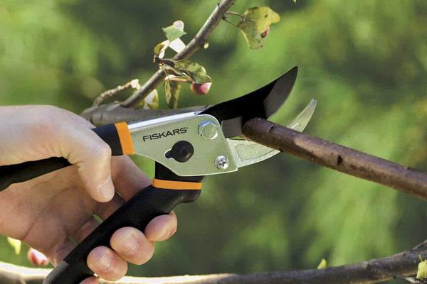 Pruning shears Cutting through a tree branch