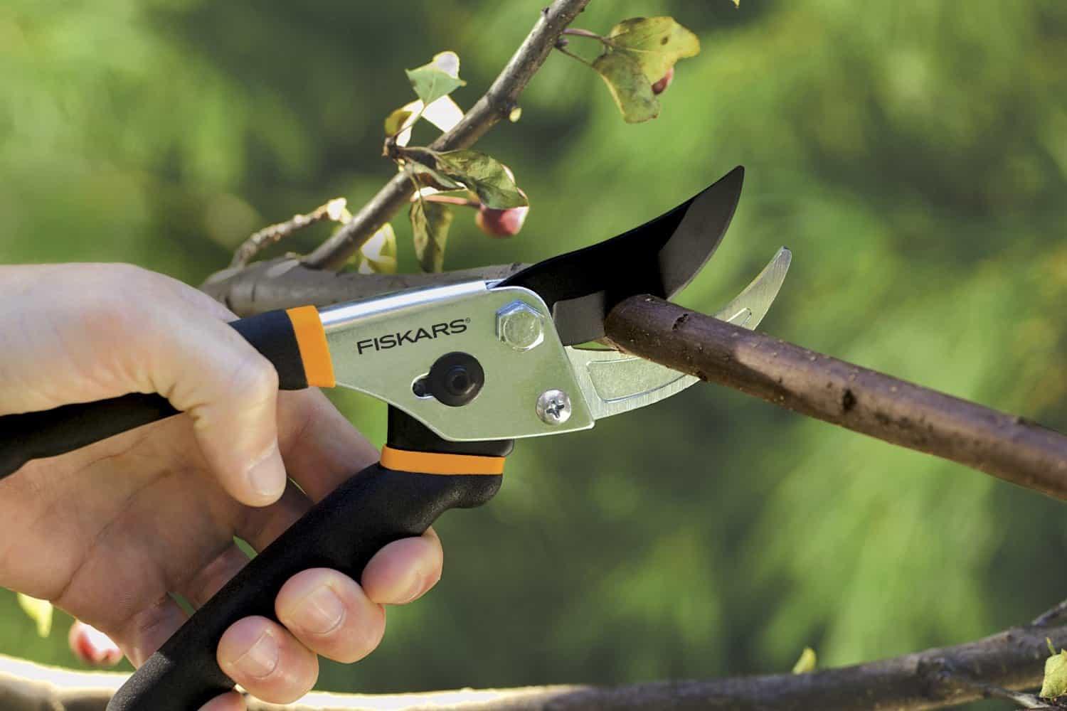 Person using Fiskars pruning shears on a branch with a blurred green background